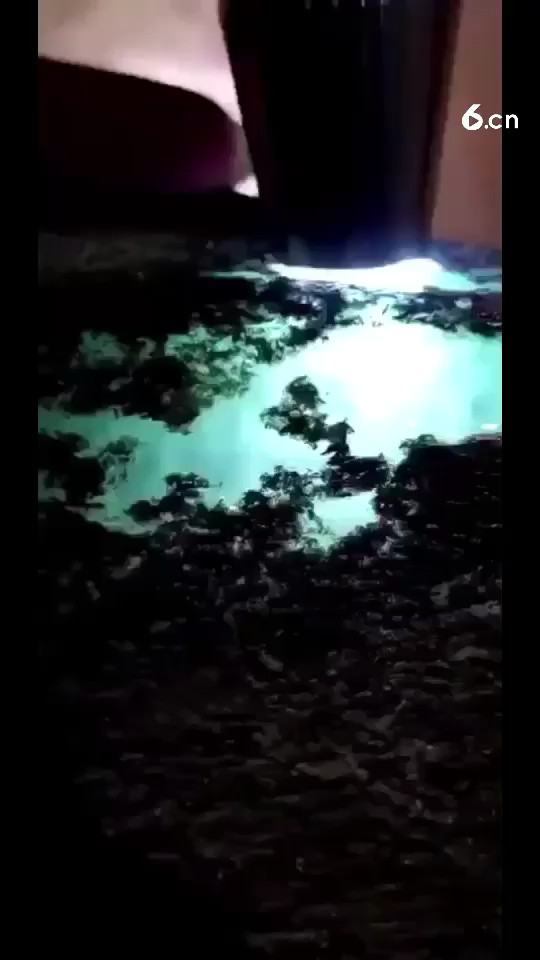 这实战效果杠杠滴