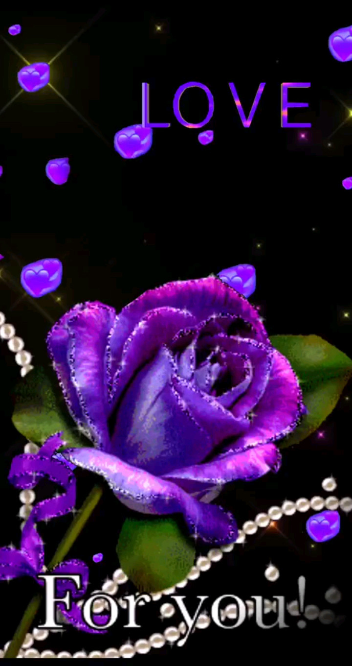 好漂亮的紫色玫瑰花