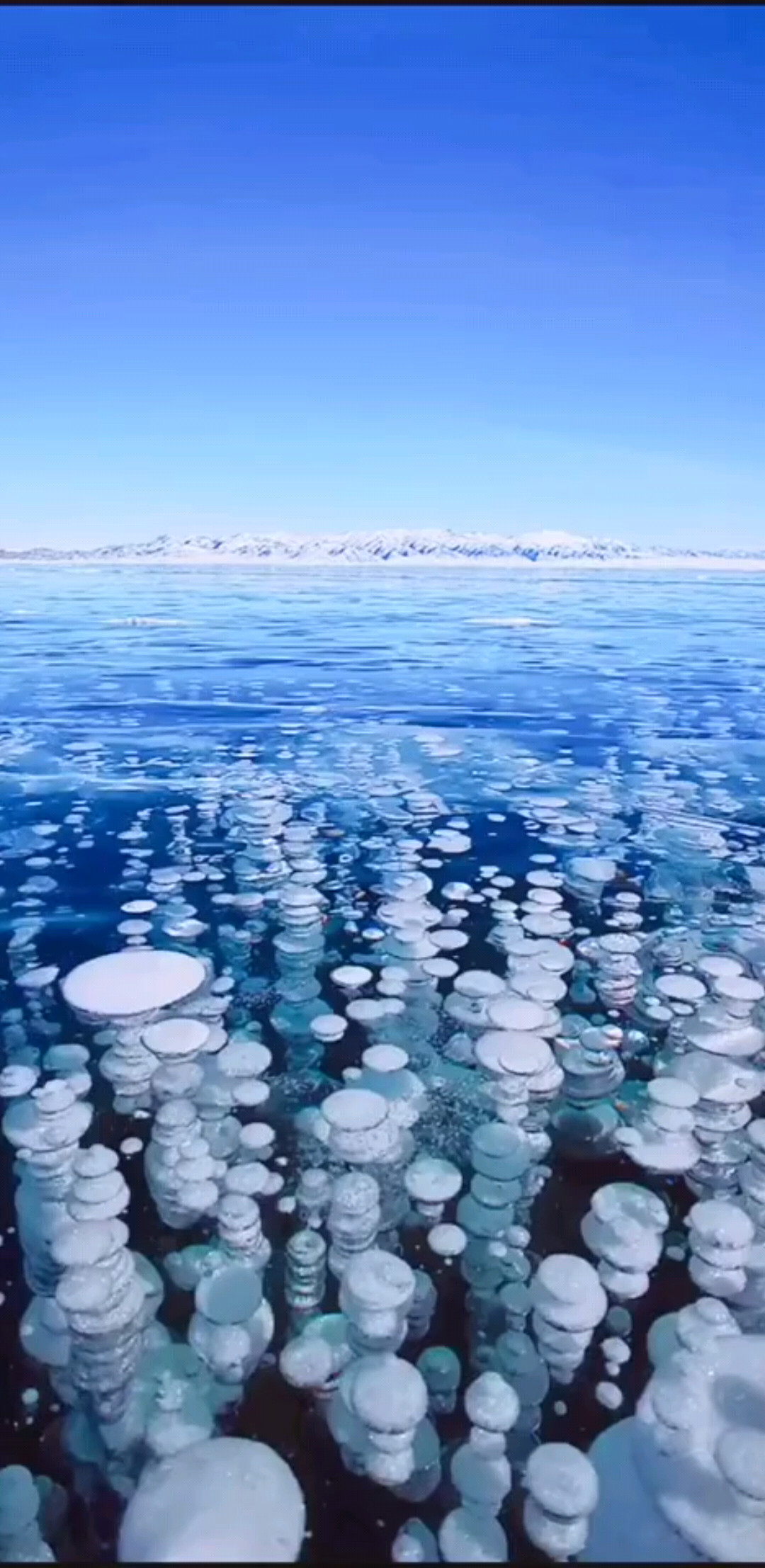 赛里木湖的气泡