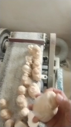 参观大师工作室