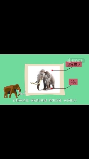 猛犸象介绍