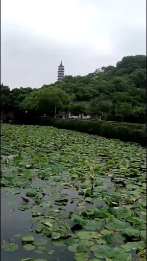 浙江宁波百宝山