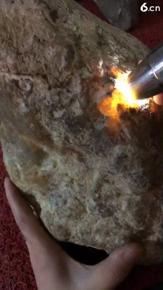 800