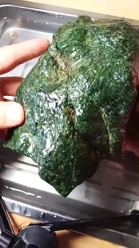 翡翠金钱龟 天然形成 产自缅甸
