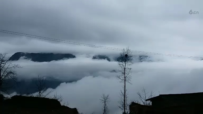 朋友圏