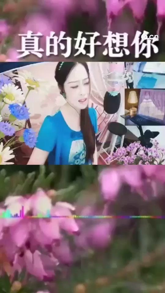 经典歌曲 真的好想你