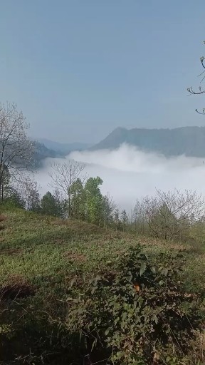 户外每天更新美丽风景。