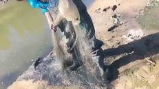 自由自在生活是活神仙比啥都强！