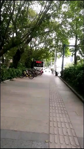 深圳，绿色之城！