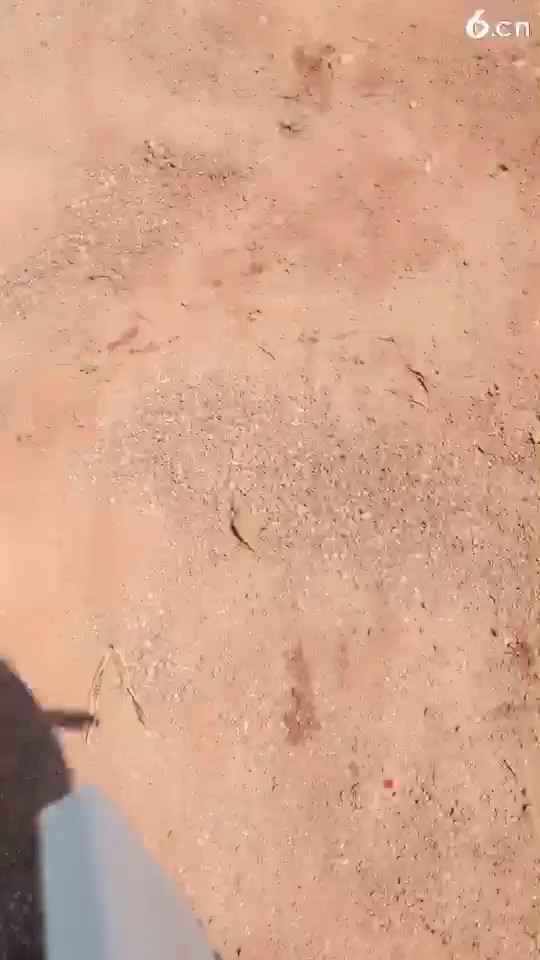 西双版纳