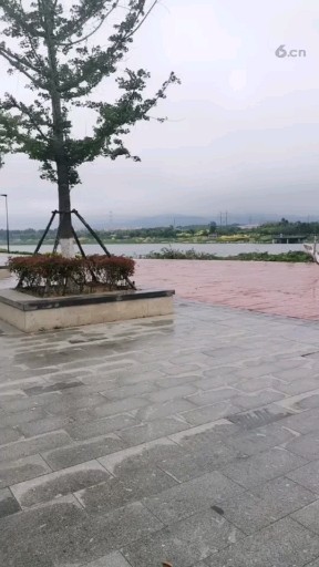 下雨☔️