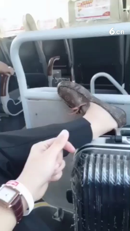 。zzz