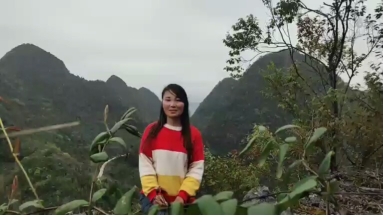 桃家湾