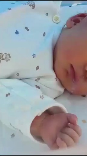 保温箱里的小可怜
