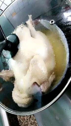 清水蒸瑶鸡🐔