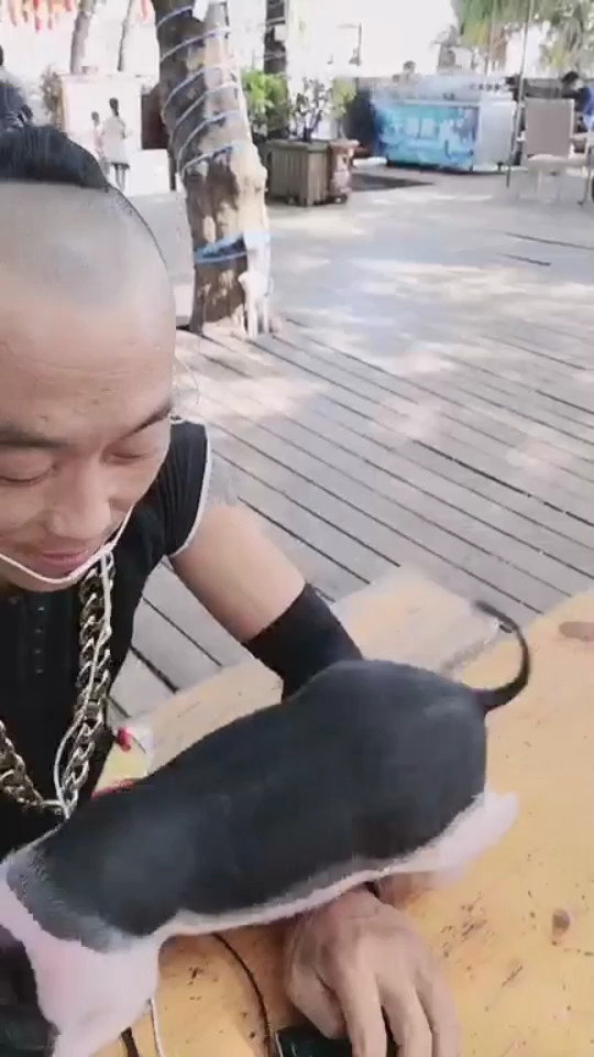 二号沙发大战