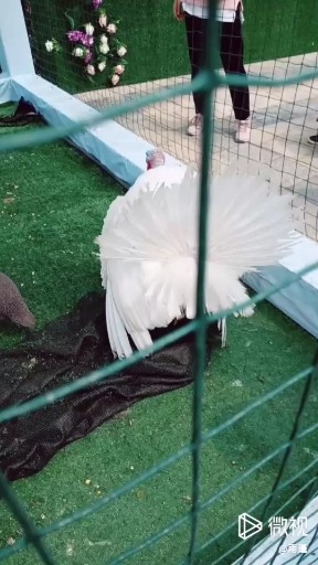 好看吗😊我都饿了😍