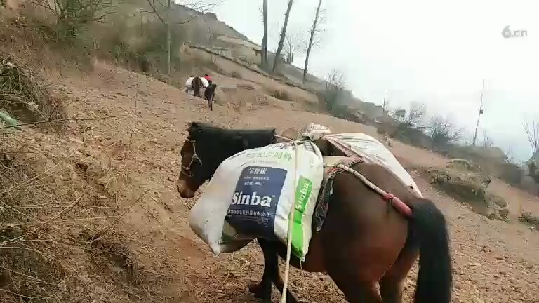 看看还可以