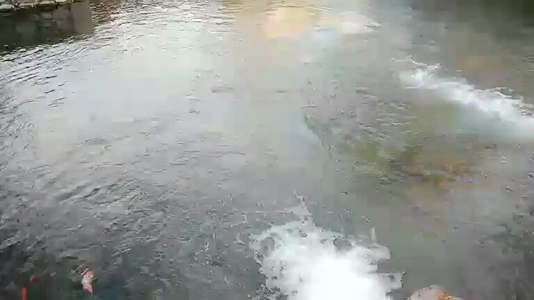 济南黑突泉