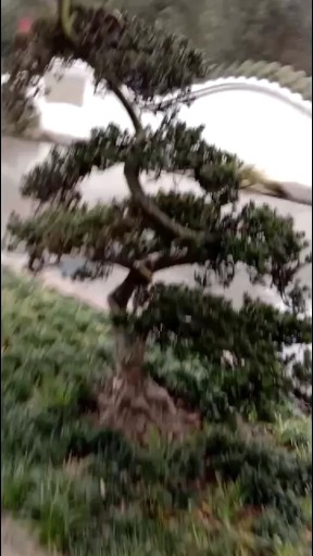 三里清风三里路，步步清风我想你