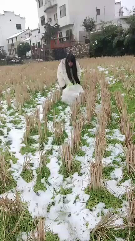 😂☃️❄