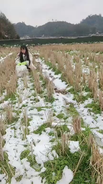 ☃️❄