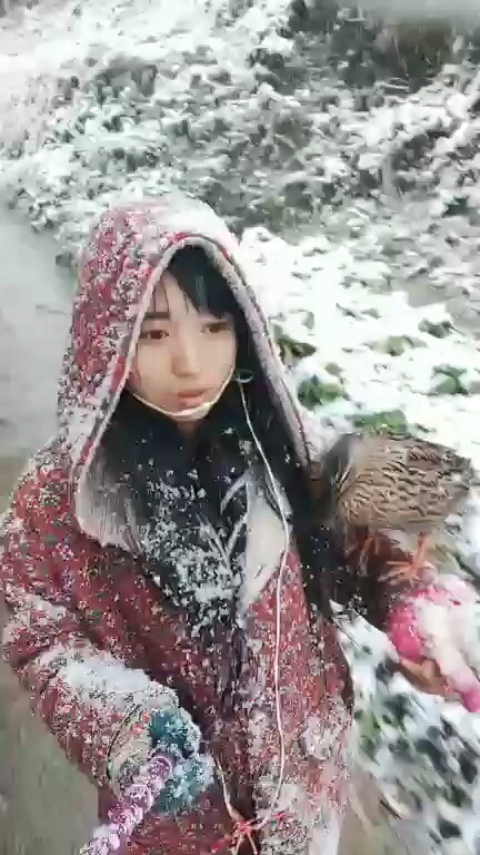 越卜越大了❄❄