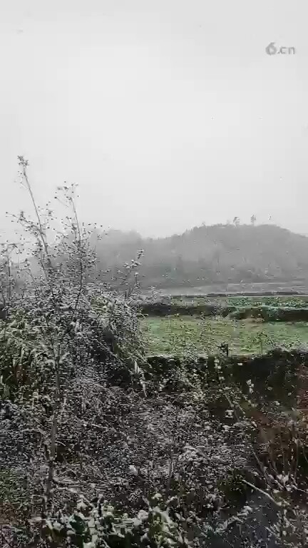 ❄❄
