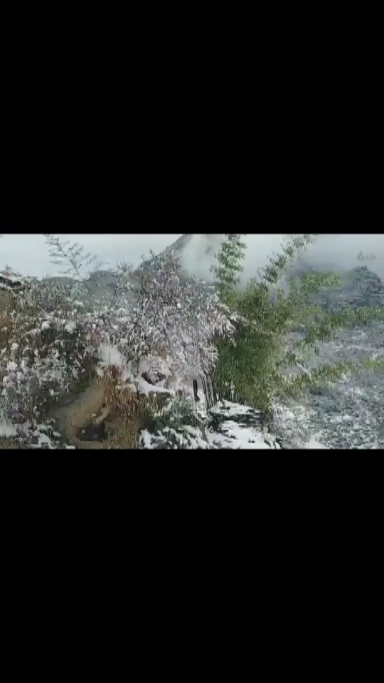 此雪此景