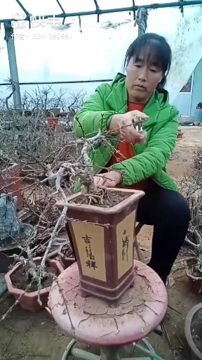 上海滩