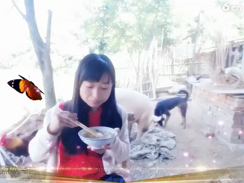 以前的视频也挺好看的😃