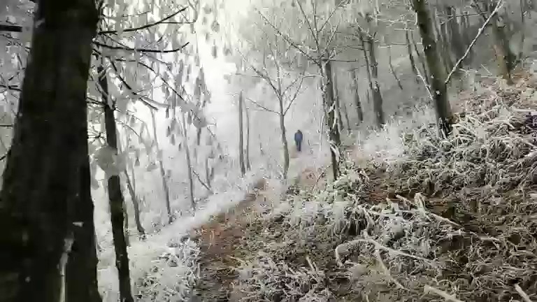 下雪