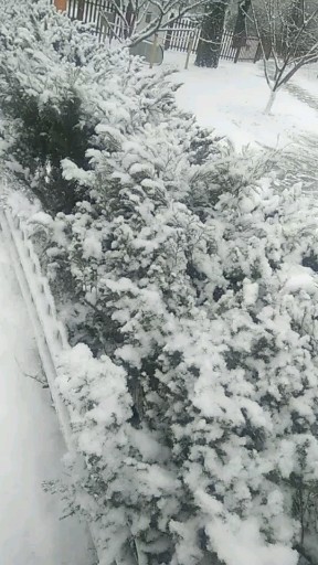 《南方的战友》第一次北京看雪
