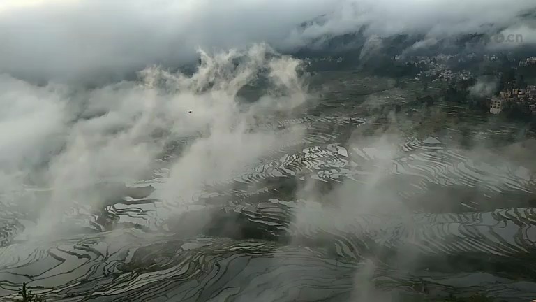 雾中梯田