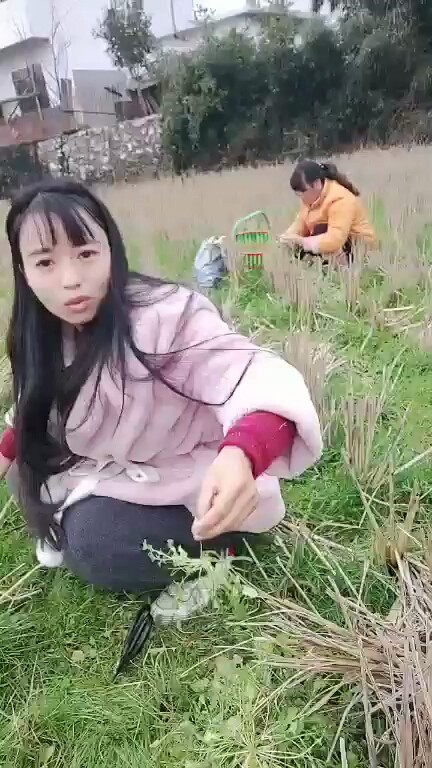 野菜