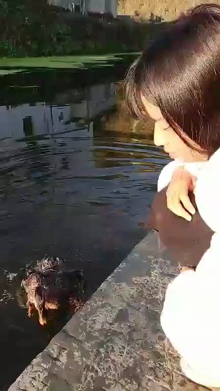 视频