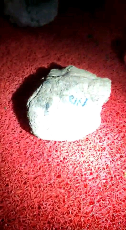 喜欢的老板点关注，每天直播高货