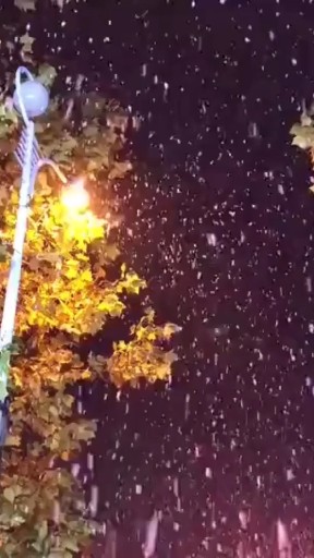 祝所有的靓仔美妞猪年新年快乐