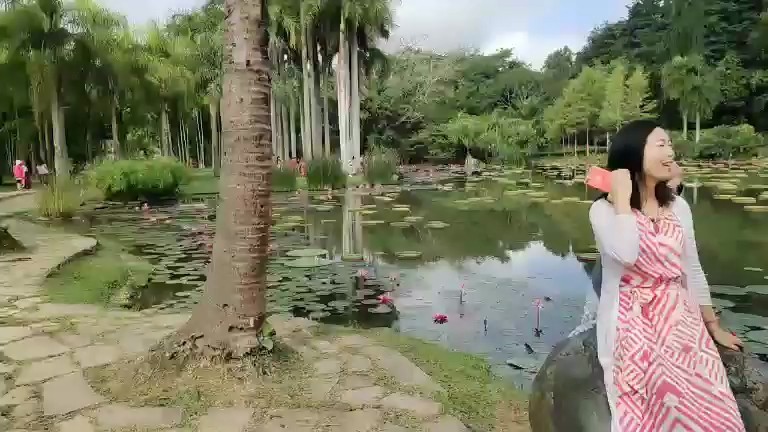 云南西双版纳