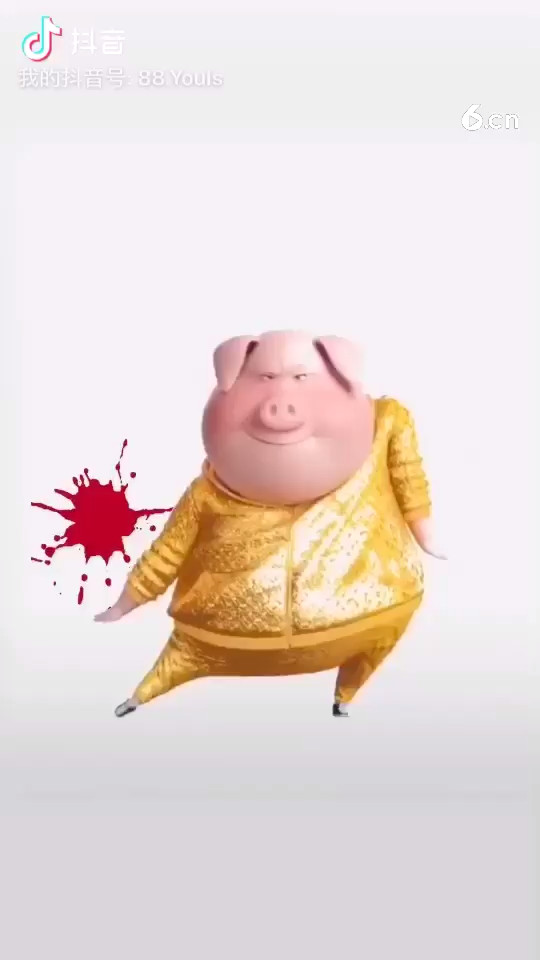 2019《好运来》🐷年大吉大