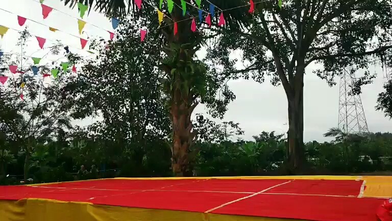 版纳