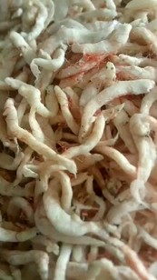 虾皮里边挑的面条鱼，可油炸，