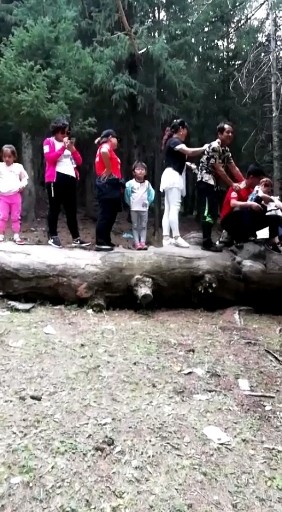 团队的欢呼