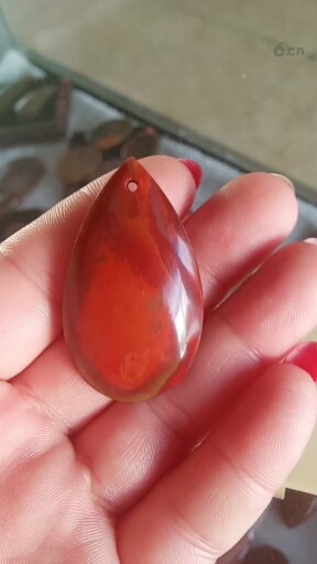 战国红100包邮。喜欢的点关注