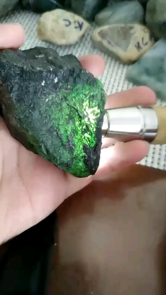 漂亮的玉