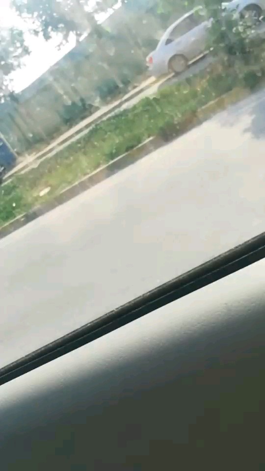 今天好像是考科三的日子