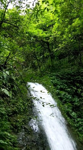 张家界老道湾银河瀑布