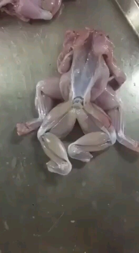死了都要爱