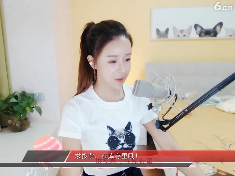 试水