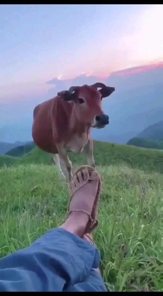 这得啥时候……